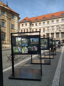 Výstava Kořeny osobností je k vidění v centru Prahy